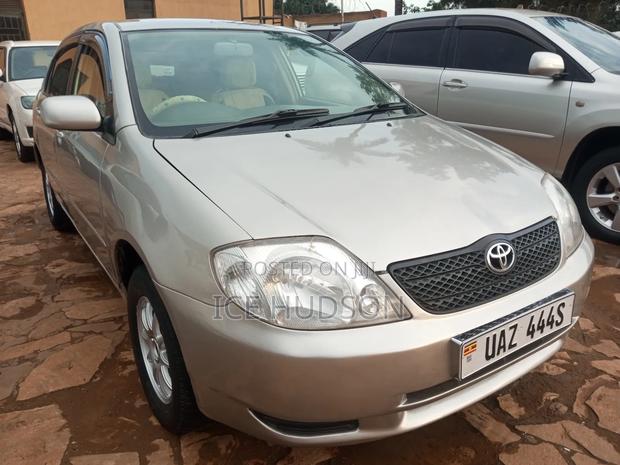 Toyota Corolla 2005 Brown