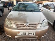 Toyota Allex 2007 Gold for sale