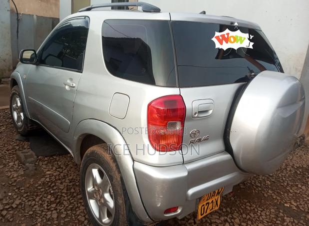 Toyota RAV4 2004 Gray