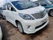 Toyota Alphard 2010 White for sale