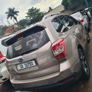 Subaru Forester 2014 Gold for sale