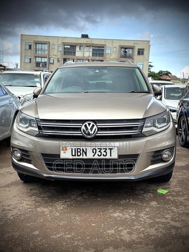 Volkswagen Tiguan 2013 Brown