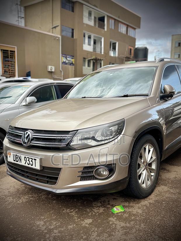 Volkswagen Tiguan 2013 Brown