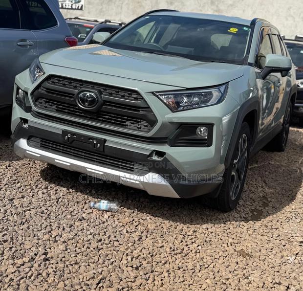 Toyota RAV4 Adventure 2019 Gray