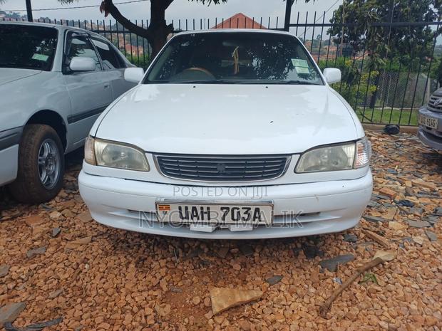 Toyota Corolla 2000 Pearl