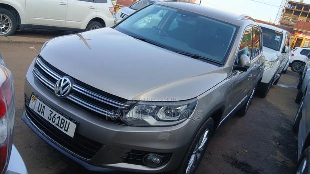 Volkswagen Tiguan 2013 Gold