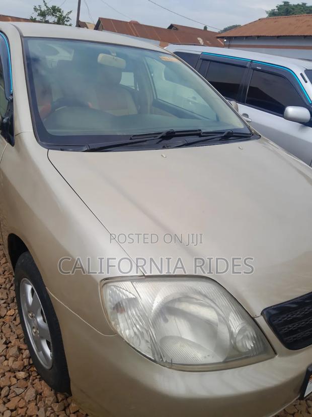Toyota Allex 2005 Gold