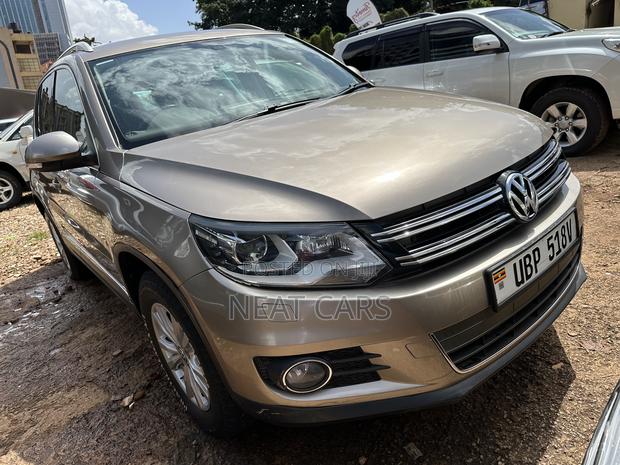 Volkswagen Tiguan 2010 Gold