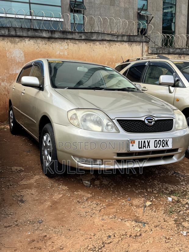 Toyota Allex 2003 Gold