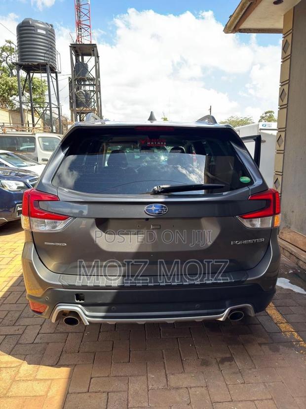 Subaru Forester 2023 Gray