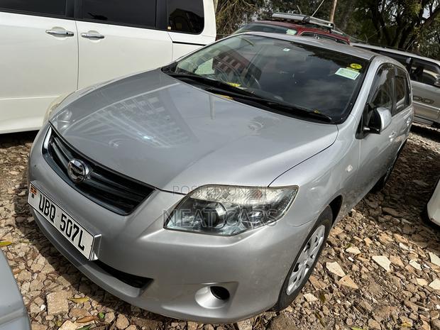 Toyota Corolla Fielder 2010 Silver