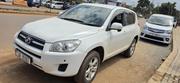 Toyota RAV4 2015 White for sale
