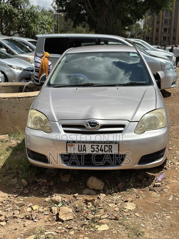 Toyota Allex 2007 Silver