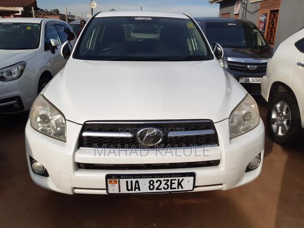 Toyota RAV4 2010 White