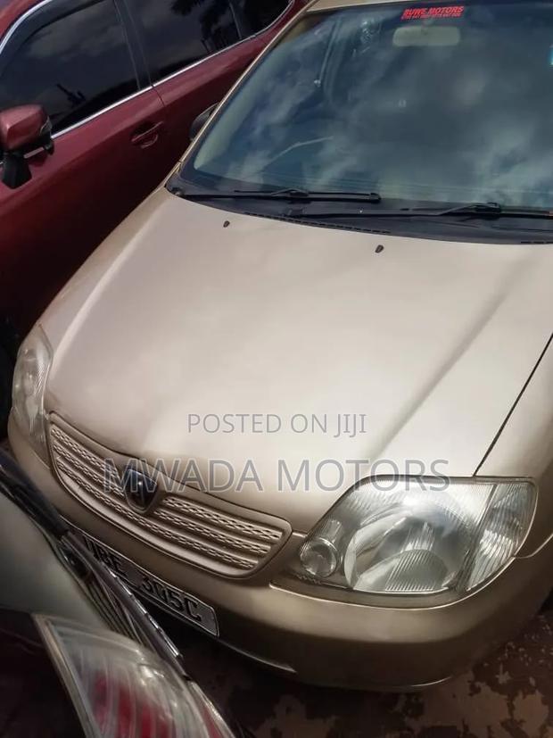 Toyota Allex 2006 Brown