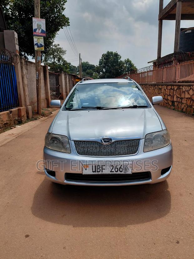 Toyota Corolla Fielder 2006 Silver