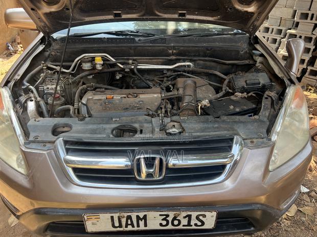 Honda CR-V LX 4WD 2002 Gold