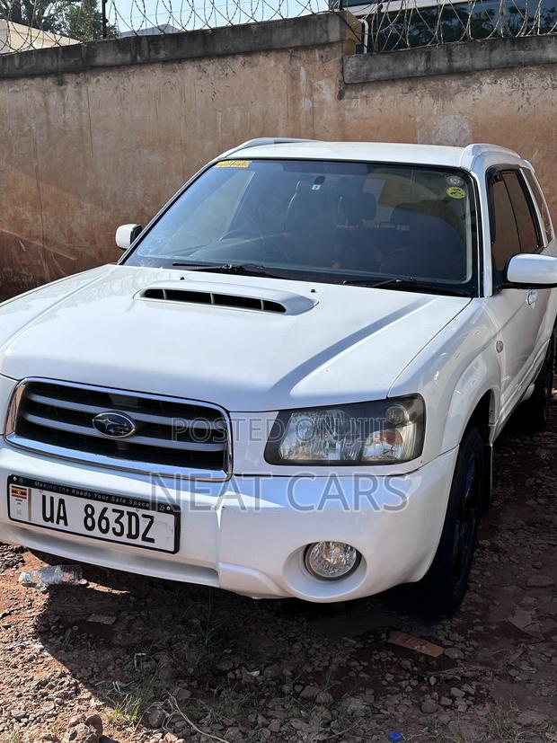 Subaru Forester 2004 White