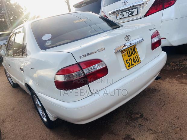 Toyota Corolla 1998 White
