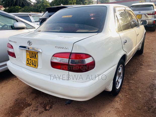 Toyota Corolla 1998 White