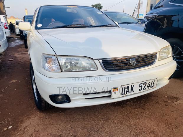Toyota Corolla 1998 White