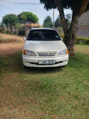 Toyota Ipsum 1999 White for sale