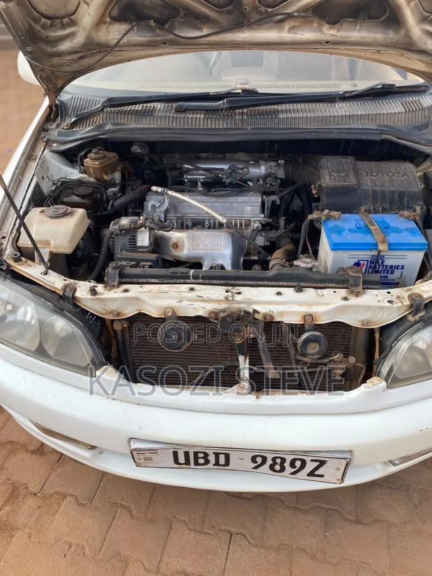 Toyota Ipsum 2000 White