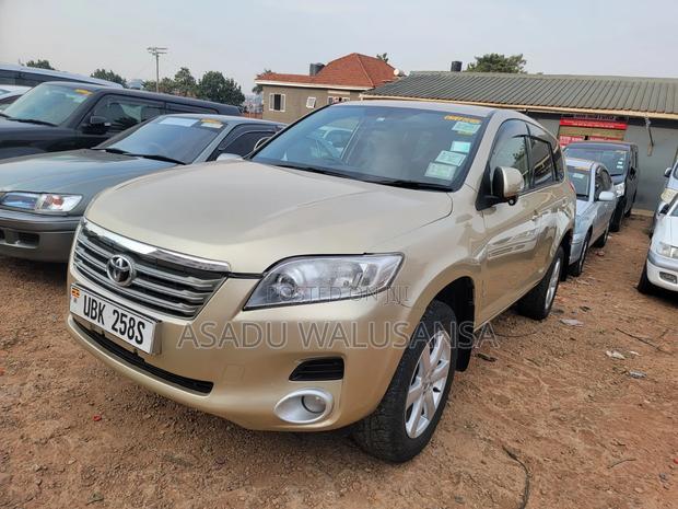 Toyota Vanguard 2010 Gold