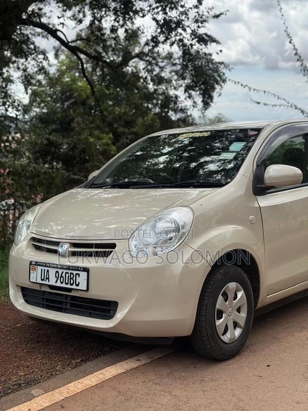 Toyota Passo 2010 Beige