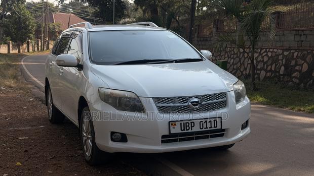 Toyota Corolla Fielder 2009 White