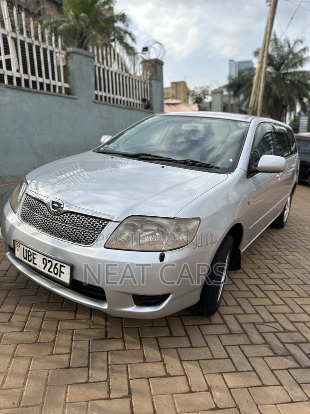 Toyota Corolla Fielder 2006 Gray