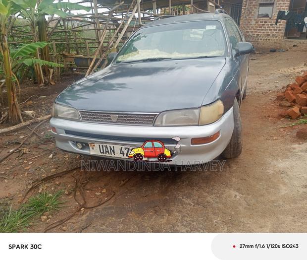 Toyota Corolla 1995 Gray