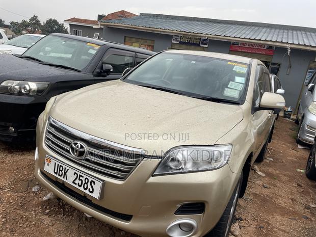 Toyota Vanguard 2010 Gold