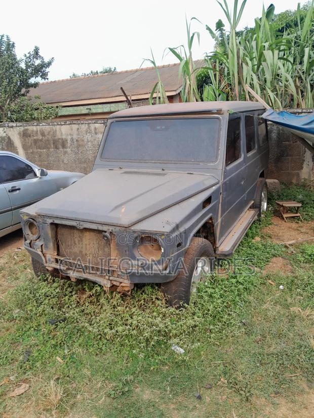 Mercedes-Benz G-Class 1995 Gray