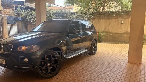 BMW X5 xDrive30i AWD (3.0L 6cyl 6A) 2010 Green
