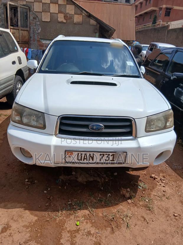 Subaru Forester 2004 White