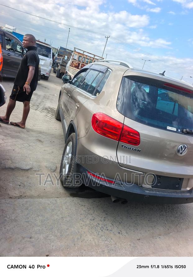 Volkswagen Tiguan 2013 Gray