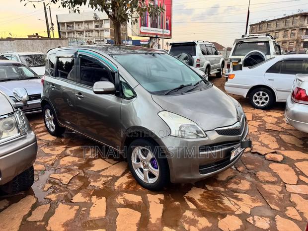 Toyota Ractis 2009 Gray