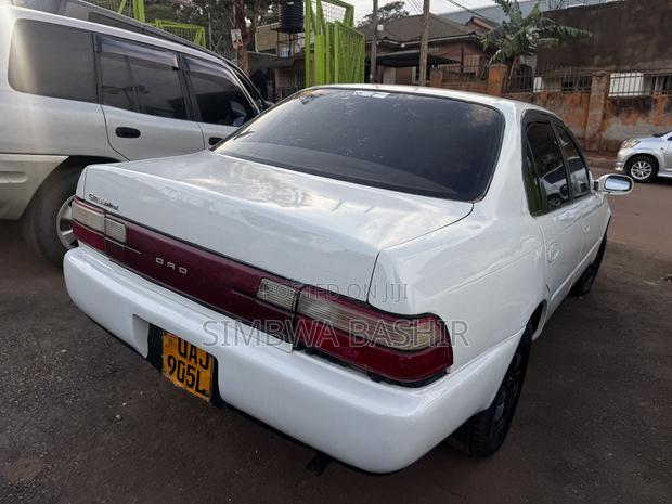 Toyota Corolla 1998 White