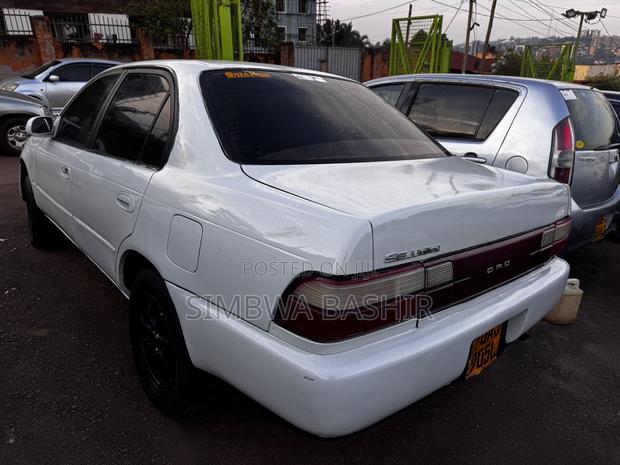Toyota Corolla 1998 White