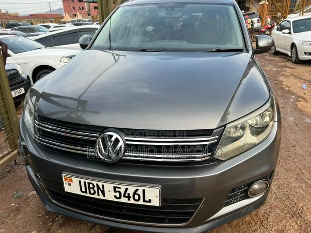 Volkswagen Tiguan 2014 Gray