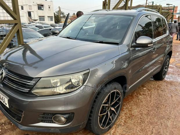 Volkswagen Tiguan 2014 Gray
