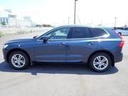 Volvo XC60 T5 Momentum AWD 2019 Blue for sale