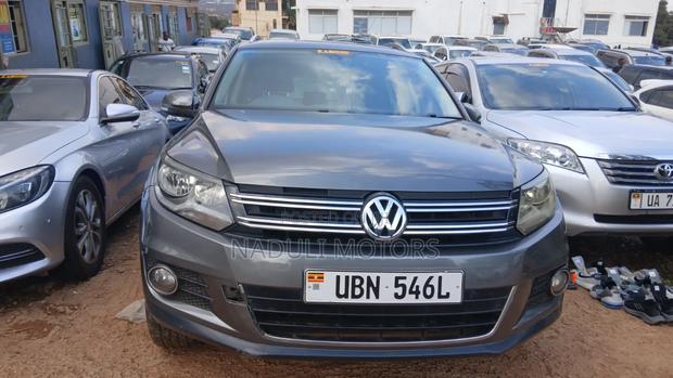 Volkswagen Tiguan 2010 Gray