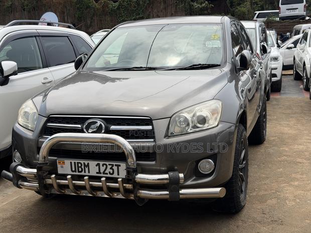 Toyota RAV4 2010 Gray