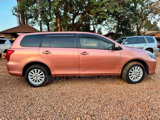 Toyota Corolla Fielder 2007 Maroon