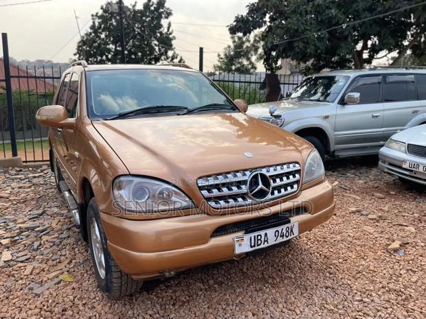 Mercedes-Benz M Class 2004 Gold