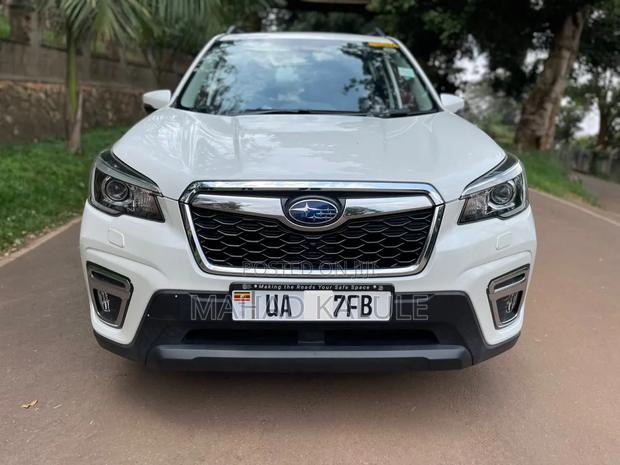 Subaru Forester 2019 White