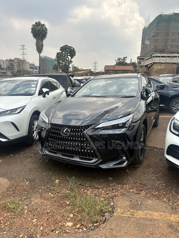 Lexus NX 250 AWD 2023 Black