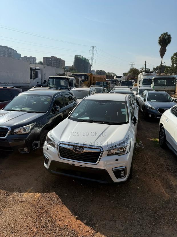 Subaru Forester Limited AWD 2019 White